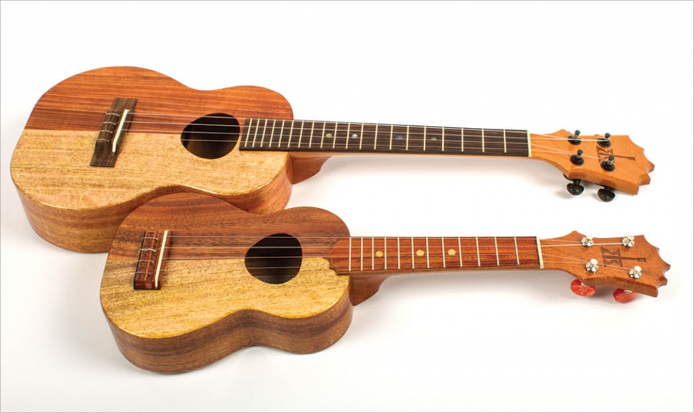 3 website hỗ trợ học đệm hát ukulele